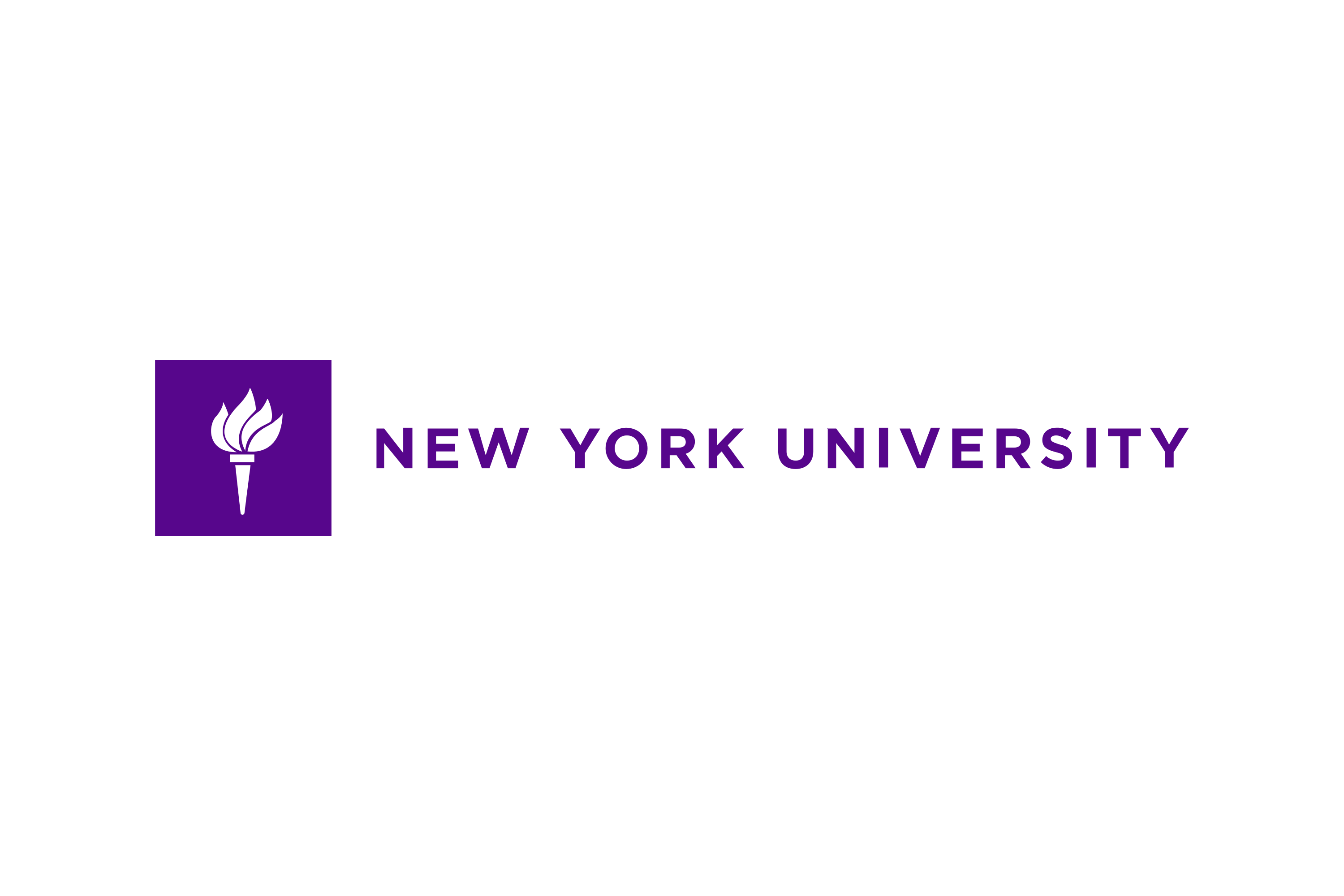 NYU Teaching Assistant